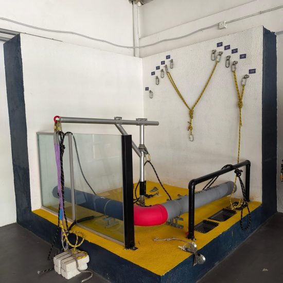 WhatsApp Image 2024-11-21 at 10.53.19 AM